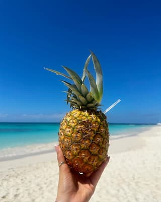 Passeio Ilha Saona 4 abacaxi-excursao-saona