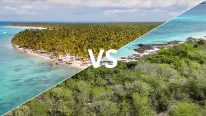 Ilha Saona vs Ilha Catalina 6 ilha-saona-vs-ilha-catalina