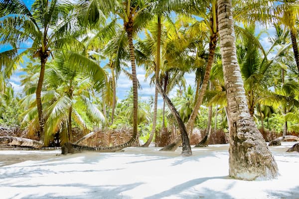 Passeio Ilha Saona 7 palmeiras-ilha-aaona