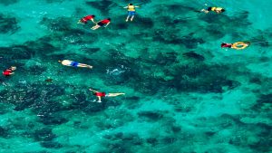 passeio-ilha-catalina-snorkel