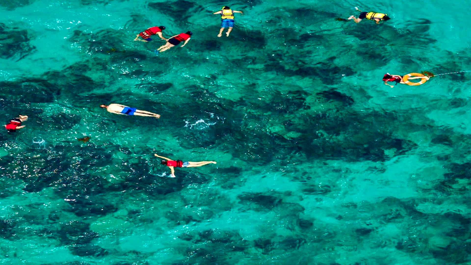 Passeio à Ilha Catalina com snorkel! 1 passeio-ilha-catalina-snorkel