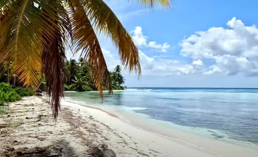 Ilha Saona vs Ilha Catalina 2 praia-ilha-saona