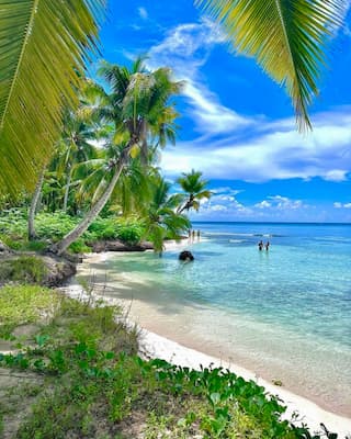 Passeio Ilha Saona 12 praia-passeio-saona