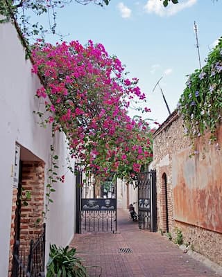 rua-santo-domingo