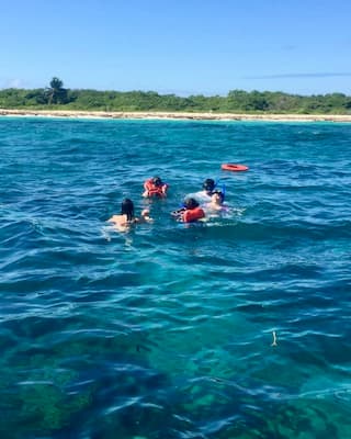 Passeio à Ilha Catalina com snorkel! 2 snorkel-ilha-catalina